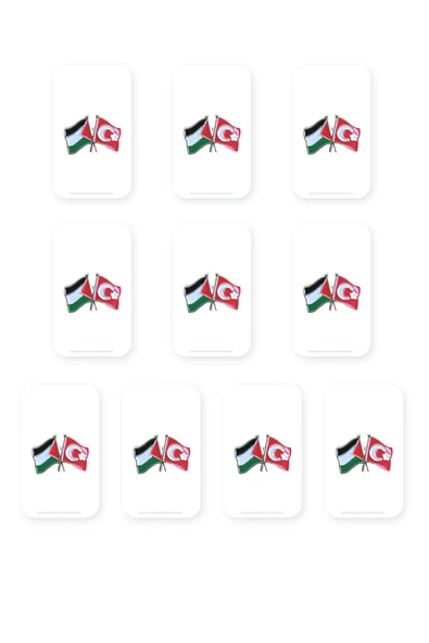 10'LU Türkiye Ve Filistin Bayarkları Simgesi Altın Renkli Özel Tasarımlı Unisex Yaka Rozeti A300030-10