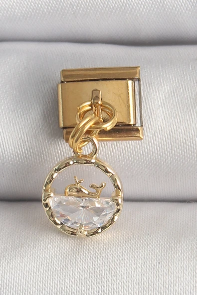 316L Çelik Gold Renk Sallantı Zirkon Taşlı Balina Model Nomination Charm - TJ-BC1339 - 1