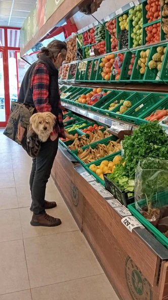 Köpek Taşıma Çantası 12-14 Kg a Kadar - 3