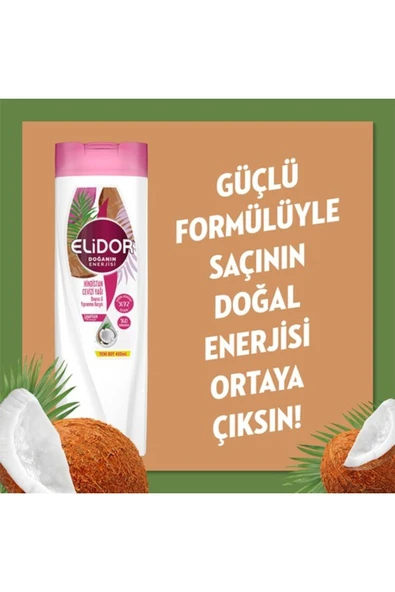Elidor Hindistan Cevizi Yağı Onarıcı Yıpranma Karşıtı Şampuan 400 ml - 4