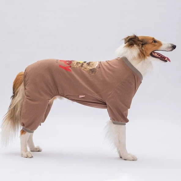 PawStar Happy Teddy Bear Büyük Irk Pijama Tulum - Resim 3