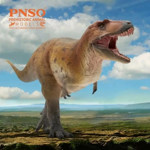 PNSO Prehistorik Dinozor Modelleri-69 - 2
