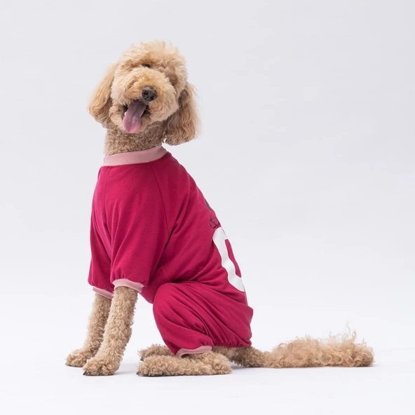 PawStar Go Teddy Bear Büyük Irk Pijama Tulum - 2