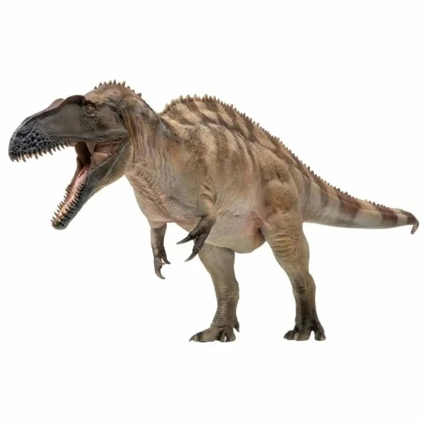 PNSO Prehistorik Dinozor Modelleri-68