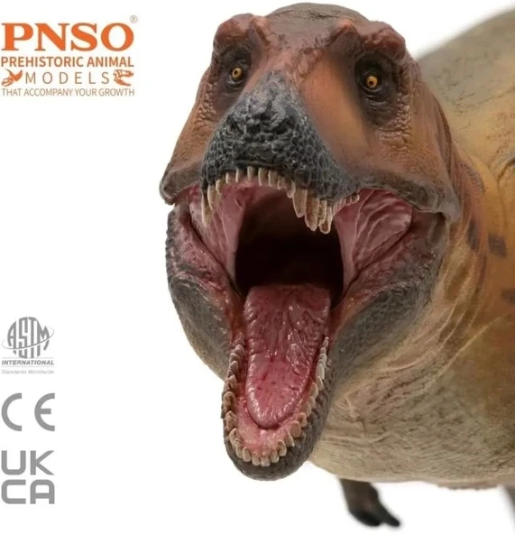 PNSO Prehistorik Dinozor Modelleri-69 - 5