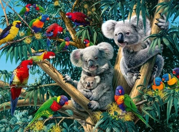 Ravensburger Koalas Ağaçta 500 Parça Puzzle - 14826