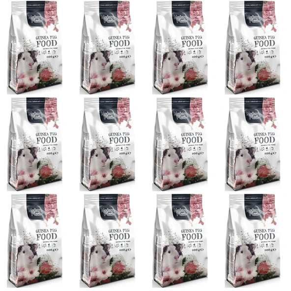 Nature Plan Ginepig Yemi 800 gr x 12 Adet