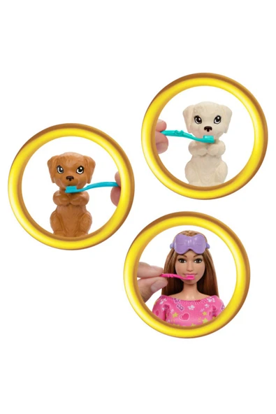 BARBİE KÖPEKLERİ İLE PİJAMA PARTİSİ HXN01 - 4