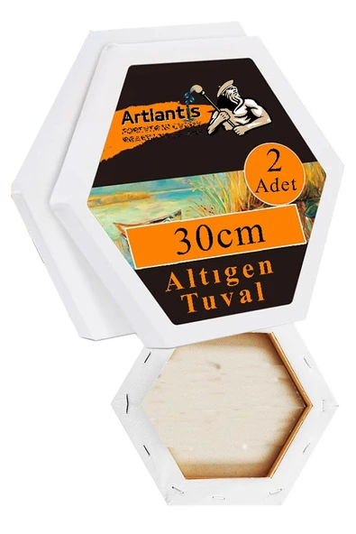 Altıgen Tuval 30 cm 2 Adet Arkadan Zımbalı Astarlı Resim Tuvali Akrilik Boya Yağlı Boya Altıgen Şekil Tuval Ressam Sanat