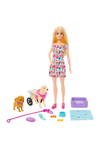 BARBİE VE ENGELLi KÖPEĞİ OYUN SETİ HTK37 - Resim 2