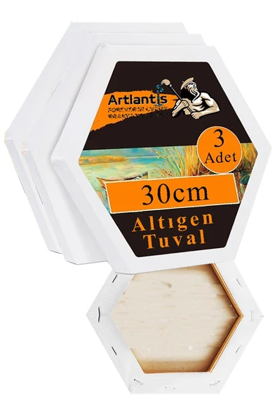 Altıgen Tuval 30 cm 3 Adet Arkadan Zımbalı Astarlı Resim Tuvali Akrilik Boya Yağlı Boya Altıgen Şekil Tuval Ressam Sanat