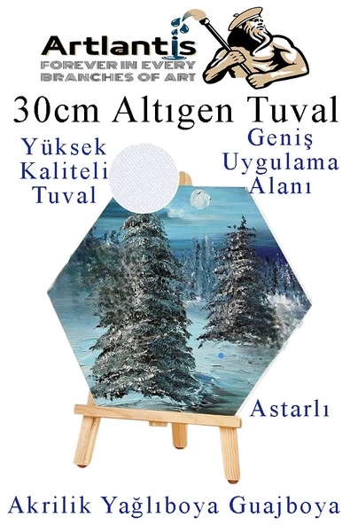 Altıgen Tuval 30 cm 3 Adet Arkadan Zımbalı Astarlı Resim Tuvali Akrilik Boya Yağlı Boya Altıgen Şekil Tuval Ressam Sanat - 3
