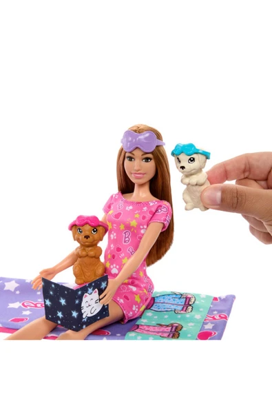 BARBİE KÖPEKLERİ İLE PİJAMA PARTİSİ HXN01 - 3