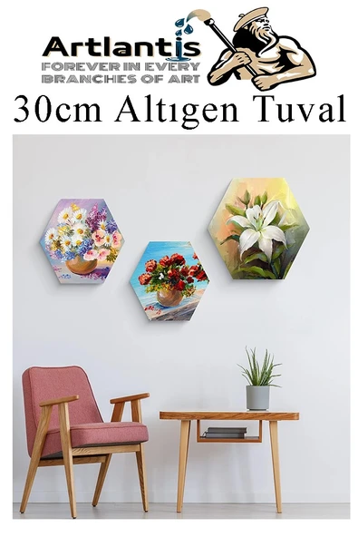 Altıgen Tuval 30 cm 1 Adet Arkadan Zımbalı Astarlı Resim Tuvali Akrilik Boya Yağlı Boya Altıgen Şekil Tuval Ressam Sanat - 6