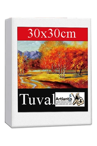 Kare Yuvarlak ve Altıgen Tuval 30 cm 2 li 1 Paket 30x30 cm Arkadan Zımbalı Astarlı Resim Tuvali Akrilik Yağlı Boya - 4
