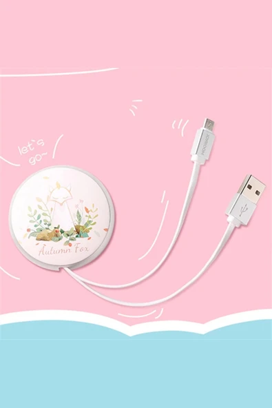 JOYROOM RABBİT SERİ TYPE-C CABLE - 2