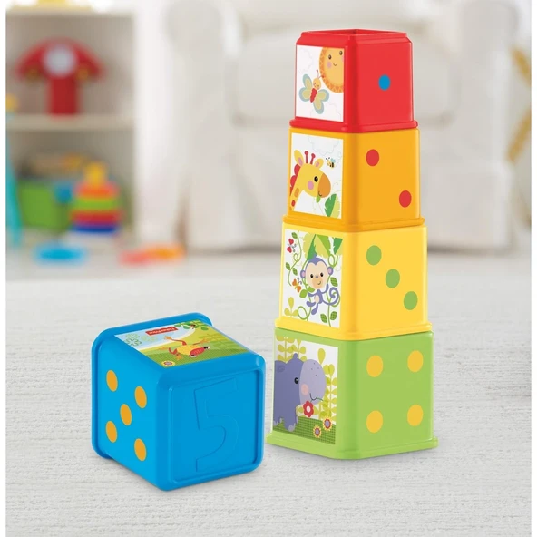 Fisher Price Eğlenceli Bloklar CDC52 - 4