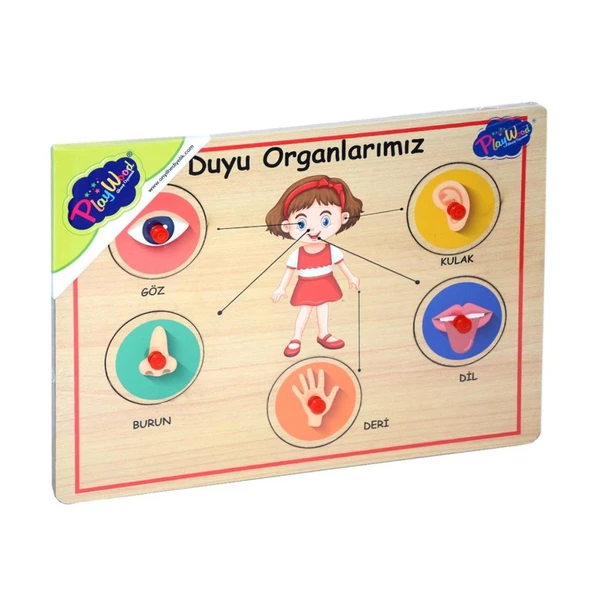 166/167 Onyıl, Ahşap Tutmalı Organlar - 4
