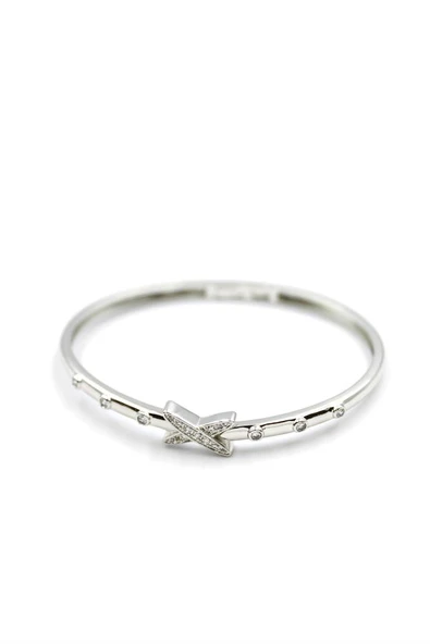 Taşlı Vip Bilezik - Gümüş - 2