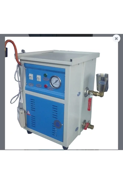 Arteks Teknik Arteks Kuru Buharlı Istim Makinesi 10 Litre