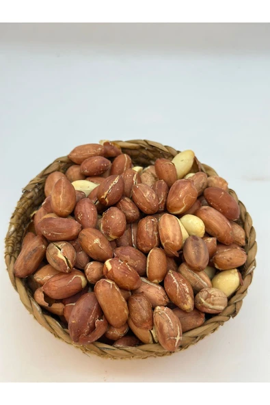 KÖKNAR TUZSUZ FISTIK İÇİ İRİ 500 GR
