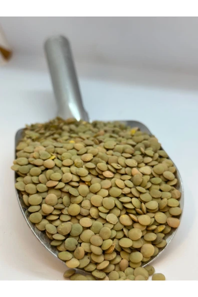 KÖKNAR YEŞİL MERCİMEK 1 KG