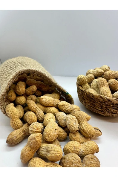 KÖKNAR Kabuklu Fıstık 500 G