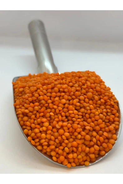 KÖKNAR KIRMIZI MERCİMEK 1 KG