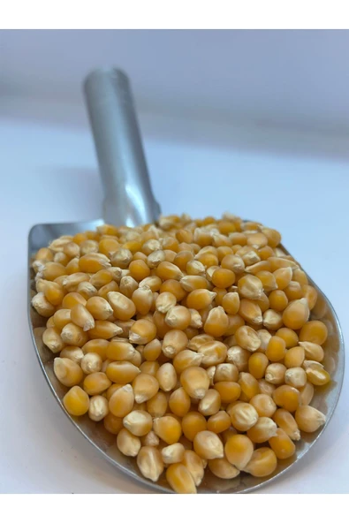 KÖKNAR PATLAYAN MISIR 1 KG