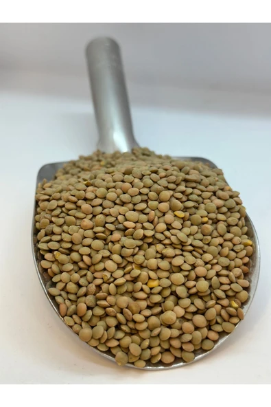 KÖKNAR YEŞİL MERCİMEK (KÖY) 1KG