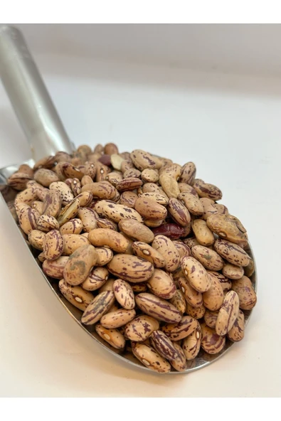 KÖKNAR BARBUNYA 1 KG