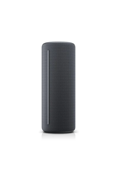 LoeWe. Hear 1 Bluetooth Hoparlör Storm Grey - 6