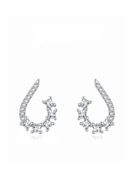 Timeless Series Işıltı Su Yolu Gümüş Kadın Küpe ürün görseli