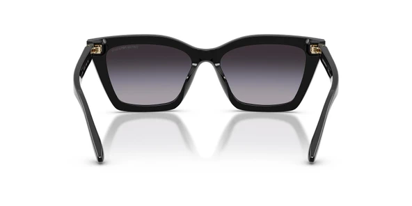 Emporio Armani EA4250U 50178G 54 Kadın Güneş Gözlüğü - 5