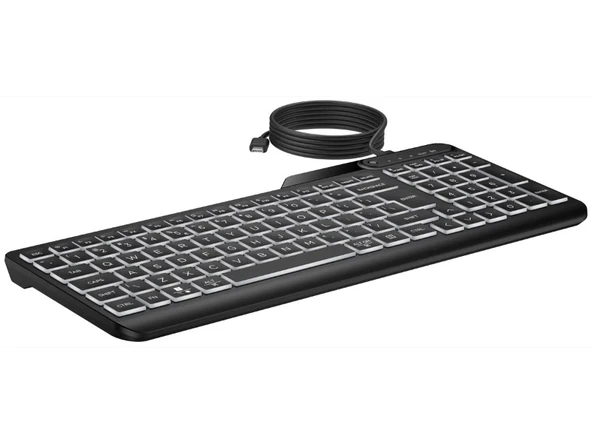 HP 405 Çoklu Cihaz Arka Aydınlatmalı Kablolu Type-C Klavye Siyah 7N7C1AA - 4