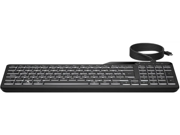 HP 405 Çoklu Cihaz Arka Aydınlatmalı Kablolu Type-C Klavye Siyah 7N7C1AA - 2