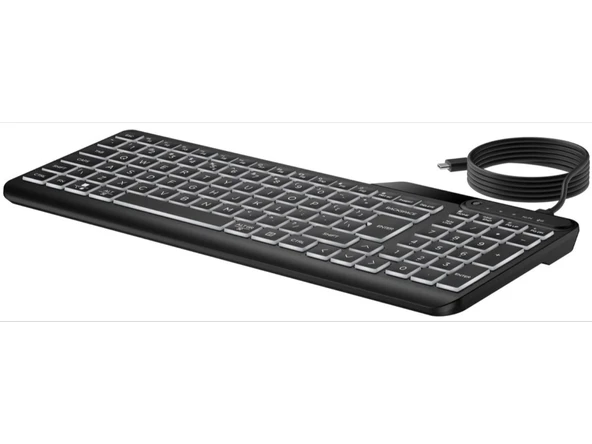 HP 405 Çoklu Cihaz Arka Aydınlatmalı Kablolu Type-C Klavye Siyah 7N7C1AA - 3
