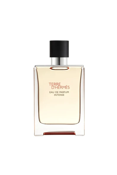 HERMES Terre D'Hermes Intense Edp 100 Ml