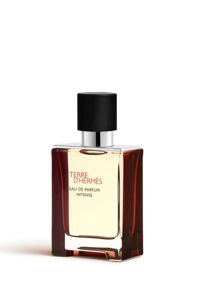 HERMES Hermés Terre D'Hermès EDP Intense 50 Ml Erkek Parfüm - 2