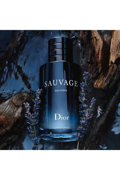 DİOR Sauvage Eau Forte - Alcohol Free Parfum Suyun gücüyle daha da vurgulanan 60 ML - 2