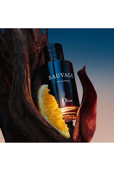 DİOR Eau De Parfum Güçlü Tazeliği, Yeni Duygusal Ve Gizemli 100 Ml - Resim 3