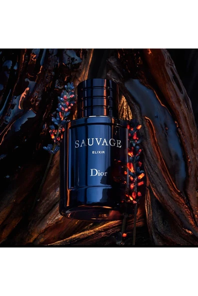 DİOR Yoğun Esansı ve Uçup Gitmeyen Benzersiz Kokusu ile Kalıcı Parfüm EDP 100ML-SAUVAGE - 4