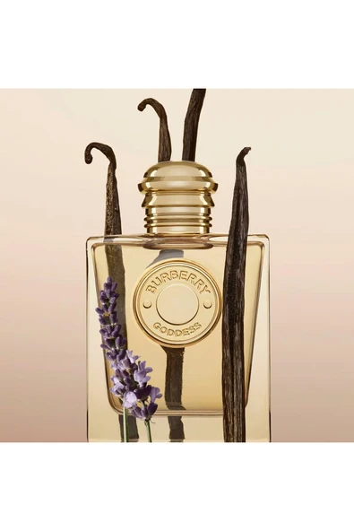 BURBERRY Goddess - Eau de Parfum - odunsu - 50ml - DHARMA ELA KOZMETİK - 3