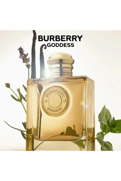Burberry Goddess Intense Edp 100 ml Kadın Parfüm - Resim 2