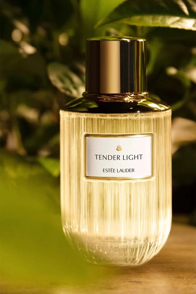 ESTEE LAUDER Tender Light - EDP 100 ml Kadın Parfüm - Luxury Fragrance Koleksiyonu - 2