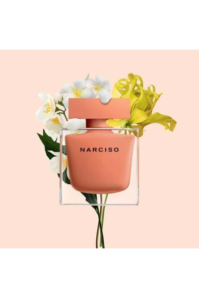 NARCİSO RODRİGUEZ Narcıso Rodrıguez Narcıso Ambre 50ml Edp - 2