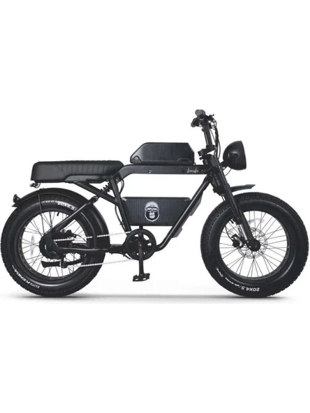 Ape Ryder A10 250 W 2 Kişilik Elektrikli Bisiklet Siyah
