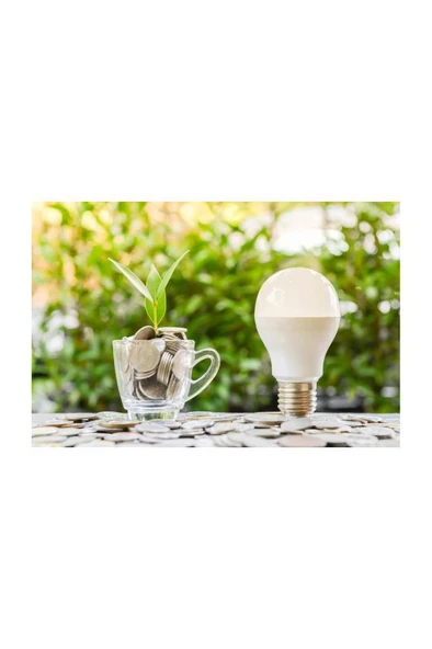 Philips (8W) 60W  Led Ampul Beyaz 6500K E27 (3 Adet) Tasarruflu Led Lamba - 6