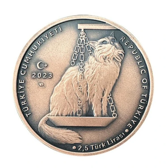 AgaKulche Nasreddin Hoca Bronz Sikke Coin - 2