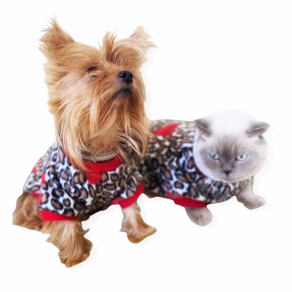 Leopar Hearts Kedi Süeteri Kedi Kıyafeti - 6